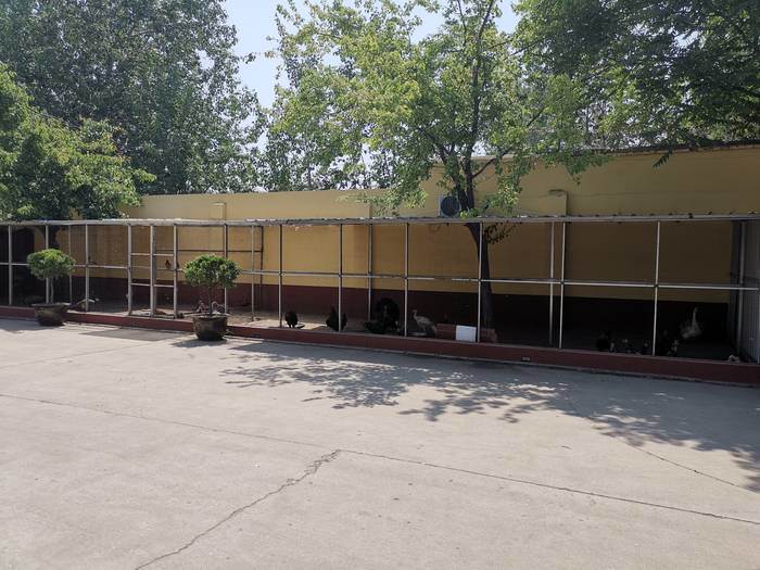 �S�^(q��)����